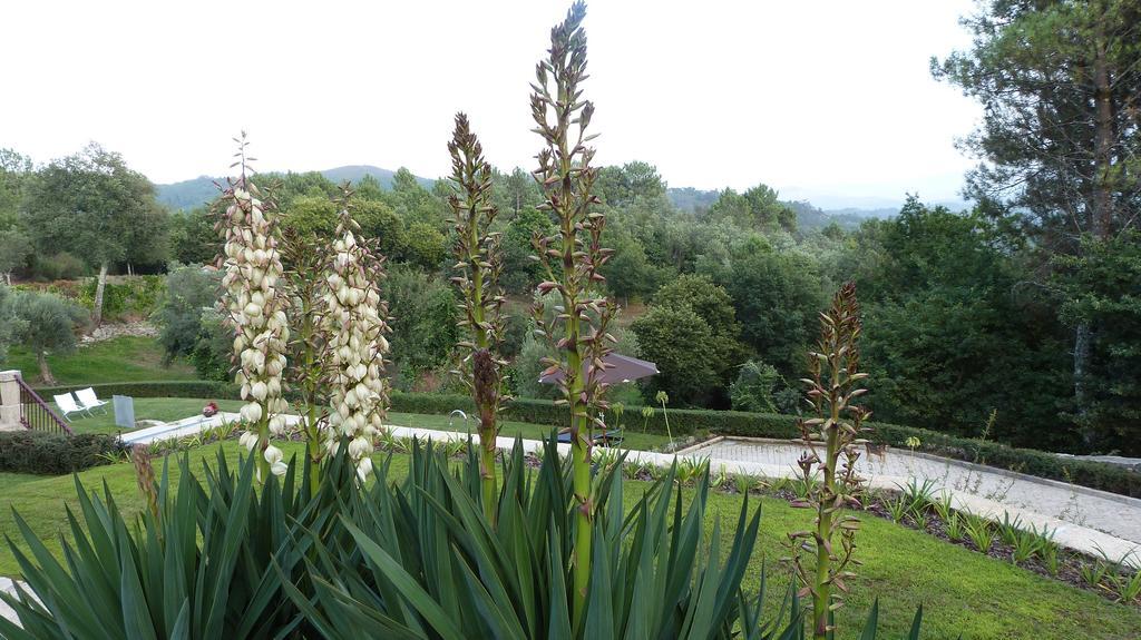 Quinta Do Correia Vila Cabeceiras de Basto Quarto foto